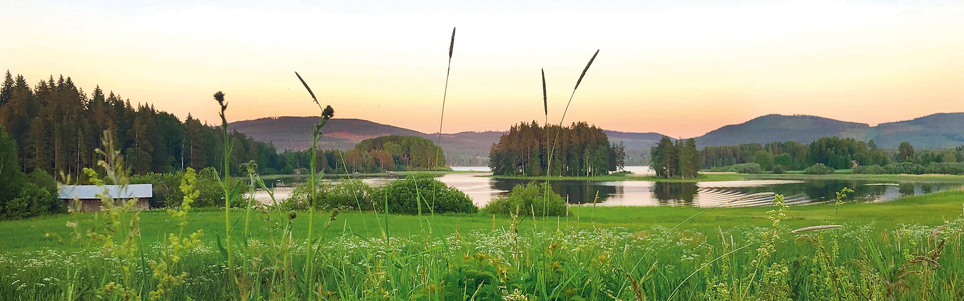 En vy över sjön Lotviken i Kilafors. En grön än syns framför och en röd lada till vänster.
